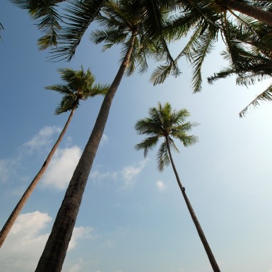 sareeraya_villas_suites_05